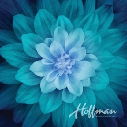 Panel - Teal from Dream Big (Hoffman)
