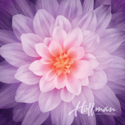 Panel - Orchid by Dream Big (Hoffman)